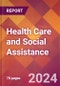 Health Care and Social Assistance - 2024 U.S. Market Research Report with Updated Recession Risk Forecasts - Product Image