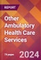 Other Ambulatory Health Care Services - 2024 U.S. Market Research Report with Updated Recession Risk Forecasts - Product Image