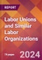 Labor Unions and Similar Labor Organizations - 2024 U.S. Market Research Report with Updated Recession Risk Forecasts - Product Thumbnail Image