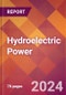 Hydroelectric Power - 2024 U.S. Market Research Report with Updated Recession Risk Forecasts - Product Image