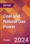 Coal and Natural Gas Power - 2024 U.S. Market Research Report with Updated Recession Risk Forecasts - Product Image