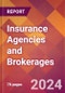 Insurance Agencies and Brokerages - 2024 U.S. Market Research Report with Updated Recession Risk Forecasts - Product Image
