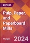 Pulp, Paper, and Paperboard Mills - 2024 U.S. Market Research Report with Updated Recession Risk Forecasts - Product Thumbnail Image