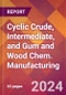 Cyclic Crude, Intermediate, and Gum and Wood Chem. Manufacturing - 2024 U.S. Market Research Report with Updated Recession Risk Forecasts - Product Thumbnail Image