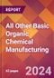 All Other Basic Organic Chemical Manufacturing - 2024 U.S. Market Research Report with Updated Recession Risk Forecasts - Product Image