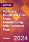 Dry Pasta, Dough, and Flour Mixes Manufacturing with Purchased Flour - 2023 U.S. Market Research Report with Updated COVID-19 & Recession Forecasts - Product Image