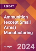 Ammunition (except Small Arms) Manufacturing - 2024 U.S. Market Research Report with Updated Recession Risk Forecasts- Product Image