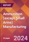 Ammunition (except Small Arms) Manufacturing - 2024 U.S. Market Research Report with Updated Recession Risk Forecasts - Product Image