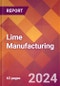 Lime Manufacturing - 2024 U.S. Market Research Report with Updated Recession Risk Forecasts - Product Image