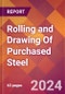 Rolling and Drawing Of Purchased Steel - 2024 U.S. Market Research Report with Updated Recession Risk Forecasts - Product Image