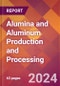 Alumina and Aluminum Production and Processing - 2024 U.S. Market Research Report with Updated Recession Risk Forecasts - Product Image