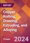 Copper Rolling, Drawing, Extruding, and Alloying - 2024 U.S. Market Research Report with Updated Recession Risk Forecasts - Product Image