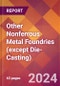 Other Nonferrous Metal Foundries (except Die-Casting) - 2024 U.S. Market Research Report with Updated Recession Risk Forecasts - Product Thumbnail Image