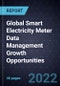 Global Smart Electricity Meter Data Management Growth Opportunities - Product Thumbnail Image