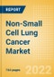 Non-Small Cell Lung Cancer Marketed and Pipeline Drugs Assessment, Clinical Trials and Competitive Landscape - Product Thumbnail Image