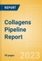 Collagens Pipeline Report including Stages of Development, Segments, Region and Countries, Regulatory Path and Key Companies, 2023 Update - Product Thumbnail Image