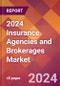 2024 Insurance Agencies and Brokerages Global Market Size & Growth Report with Updated COVID-19 & Recession Risk Forecasts - Product Image