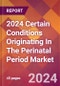 2024 Certain Conditions Originating In The Perinatal Period Global Market Size & Growth Report with Updated Recession Risk Impact - Product Image
