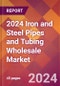 2024 Iron and Steel Pipes and Tubing Wholesale Global Market Size & Growth Report with Updated Recession Risk Impact - Product Image