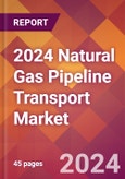 2024 Natural Gas Pipeline Transport Global Market Size & Growth Report with Updated Recession Risk Impact- Product Image