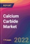 Calcium Carbide Market Size, Market Share, Application Analysis, Regional Outlook, Growth Trends, Key Players, Competitive Strategies and Forecasts, 2022 to 2030 - Product Thumbnail Image