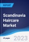 Scandinavia Haircare Market Summary, Competitive Analysis and Forecast to 2027 - Product Image