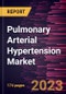 Pulmonary Arterial Hypertension Market Forecast to 2028 - COVID-19 Impact and Global Analysis By Drugs, Type, Route of Administration, and Distribution Channel - Product Thumbnail Image