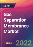 Gas Separation Membranes Market Size, Market Share, Application Analysis, Regional Outlook, Growth Trends, Key Players, Competitive Strategies and Forecasts, 2022 to 2030- Product Image