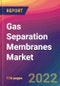 Gas Separation Membranes Market Size, Market Share, Application Analysis, Regional Outlook, Growth Trends, Key Players, Competitive Strategies and Forecasts, 2022 to 2030 - Product Thumbnail Image