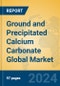 Ground and Precipitated Calcium Carbonate Global Market Insights 2024, Analysis and Forecast to 2029, by Manufacturers, Regions, Technology, Application, Product Type - Product Image