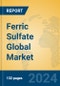 Ferric Sulfate Global Market Insights 2024, Analysis and Forecast to 2029, by Manufacturers, Regions, Technology, Application - Product Image