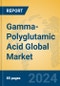 Gamma-Polyglutamic Acid Global Market Insights 2024, Analysis and Forecast to 2029, by Manufacturers, Regions, Technology, Application, Product Type - Product Image