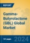 Gamma-Butyrolactone (GBL) Global Market Insights 2024, Analysis and Forecast to 2029, by Manufacturers, Regions, Technology, Application - Product Image