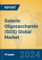 Galacto Oligosaccharide (GOS) Global Market Insights 2024, Analysis and Forecast to 2029, by Manufacturers, Regions, Technology, Application - Product Image