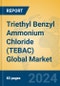 Triethyl Benzyl Ammonium Chloride (TEBAC) Global Market Insights 2024, Analysis and Forecast to 2029, by Manufacturers, Regions, Technology, Application - Product Thumbnail Image
