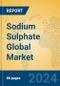Sodium Sulphate Global Market Insights 2024, Analysis and Forecast to 2029, by Manufacturers, Regions, Technology, Application - Product Image