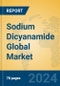 Sodium Dicyanamide Global Market Insights 2024, Analysis and Forecast to 2029, by Manufacturers, Regions, Technology, Application - Product Image