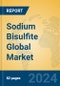 Sodium Bisulfite Global Market Insights 2024, Analysis and Forecast to 2029, by Manufacturers, Regions, Technology, Application - Product Image