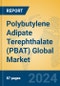 Polybutylene Adipate Terephthalate (PBAT) Global Market Insights 2024, Analysis and Forecast to 2029, by Manufacturers, Regions, Technology, Application - Product Image