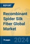 Recombinant Spider Silk Fiber Global Market Insights 2024, Analysis and Forecast to 2029, by Manufacturers, Regions, Technology, Application - Product Image
