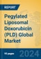 Pegylated Liposomal Doxorubicin (PLD) Global Market Insights 2024, Analysis and Forecast to 2029, by Manufacturers, Regions, Technology, Product Type - Product Thumbnail Image
