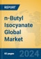 n-Butyl Isocyanate Global Market Insights 2024, Analysis and Forecast to 2029, by Manufacturers, Regions, Technology, Application - Product Image