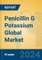 Penicillin G Potassium Global Market Insights 2024, Analysis and Forecast to 2029, by Manufacturers, Regions, Technology, Application - Product Image