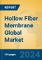Hollow Fiber Membrane Global Market Insights 2024, Analysis and Forecast to 2029, by Manufacturers, Regions, Technology, Application, Product Type - Product Image