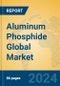 Aluminum Phosphide Global Market Insights 2024, Analysis and Forecast to 2029, by Manufacturers, Regions, Technology, Application - Product Image
