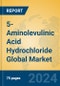 5-Aminolevulinic Acid Hydrochloride Global Market Insights 2024, Analysis and Forecast to 2029, by Manufacturers, Regions, Technology, Application, Product Type - Product Image
