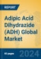 Adipic Acid Dihydrazide (ADH) Global Market Insights 2024, Analysis and Forecast to 2029, by Manufacturers, Regions, Technology, Application - Product Image