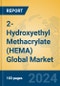 2-Hydroxyethyl Methacrylate (HEMA) Global Market Insights 2024, Analysis and Forecast to 2029, by Manufacturers, Regions, Technology, Application - Product Thumbnail Image