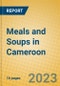 Meals and Soups in Cameroon - Product Image