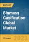 Biomass Gasification Global Market Opportunities And Strategies To 2031 - Product Thumbnail Image